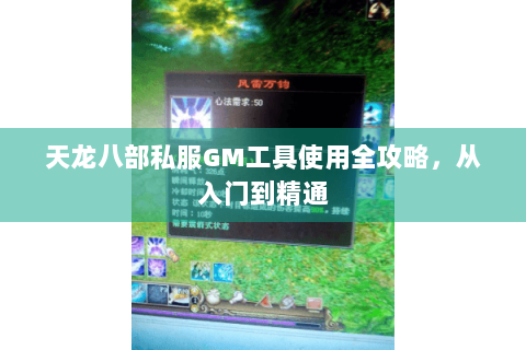 天龙八部私服GM工具使用全攻略，从入门到精通
