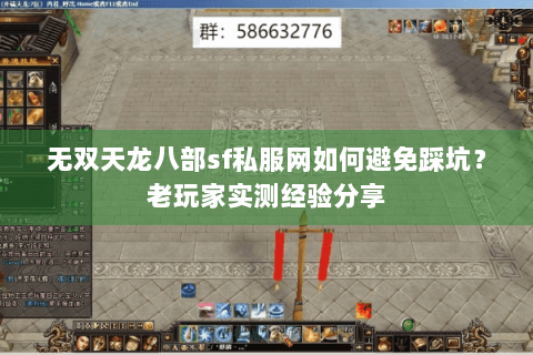 无双天龙八部sf私服网如何避免踩坑？老玩家实测经验分享