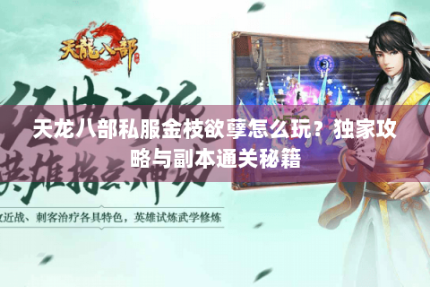 天龙八部私服金枝欲孽怎么玩？独家攻略与副本通关秘籍