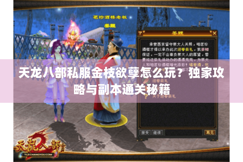 天龙八部私服金枝欲孽怎么玩？独家攻略与副本通关秘籍
