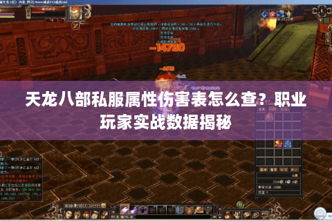 天龙八部私服属性伤害表怎么查？职业玩家实战数据揭秘