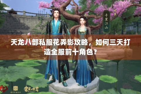 天龙八部私服花弄影攻略，如何三天打造全服前十角色？