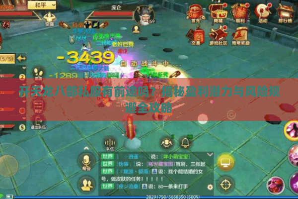 开天龙八部私服有前途吗？揭秘盈利潜力与风险规避全攻略