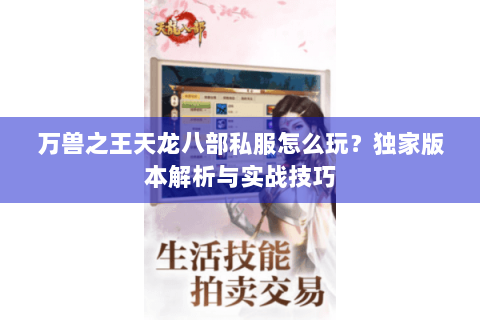 万兽之王天龙八部私服怎么玩？独家版本解析与实战技巧
