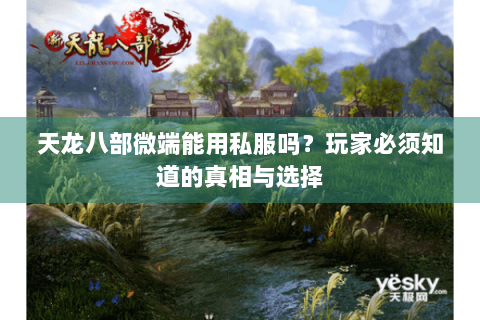 天龙八部微端能用私服吗？玩家必须知道的真相与选择