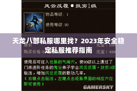 天龙八部私服哪里找？2023年安全稳定私服推荐指南