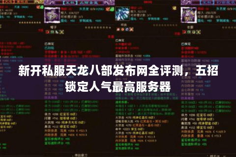 新开私服天龙八部发布网全评测，五招锁定人气最高服务器