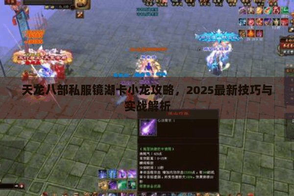 天龙八部私服镜湖卡小龙攻略，2025最新技巧与实战解析