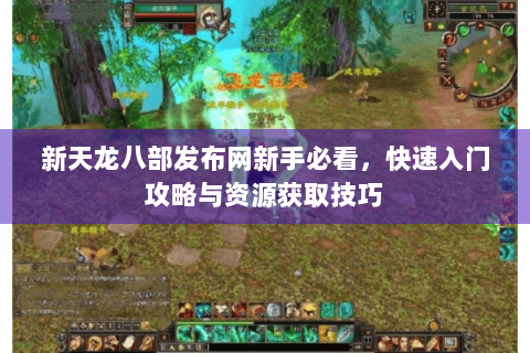 新天龙八部发布网新手必看，快速入门攻略与资源获取技巧