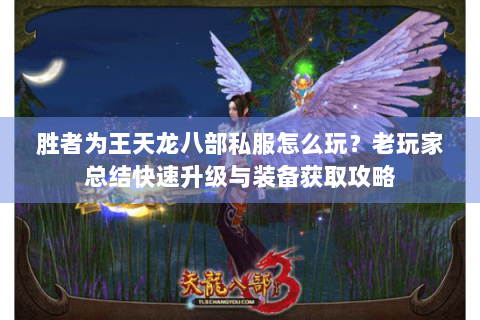 胜者为王天龙八部私服怎么玩？老玩家总结快速升级与装备获取攻略