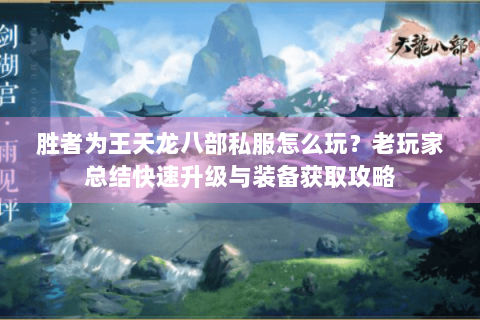 胜者为王天龙八部私服怎么玩？老玩家总结快速升级与装备获取攻略