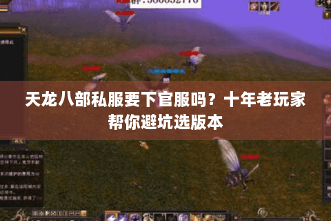 天龙八部私服要下官服吗？十年老玩家帮你避坑选版本