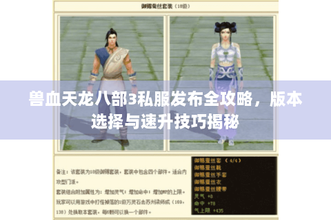 兽血天龙八部3私服发布全攻略，版本选择与速升技巧揭秘