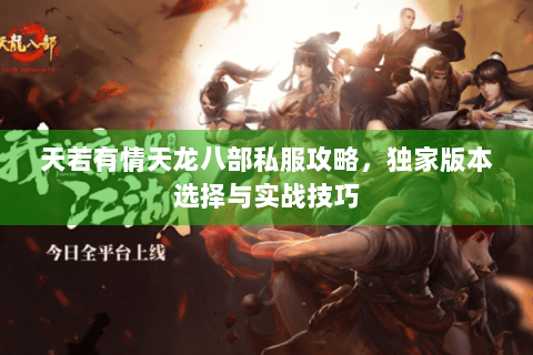 天若有情天龙八部私服攻略，独家版本选择与实战技巧