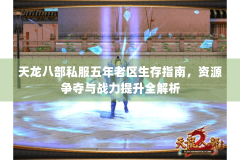 天龙八部私服五年老区生存指南，资源争夺与战力提升全解析