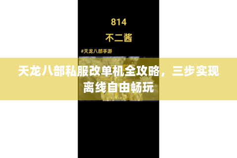 天龙八部私服改单机全攻略，三步实现离线自由畅玩