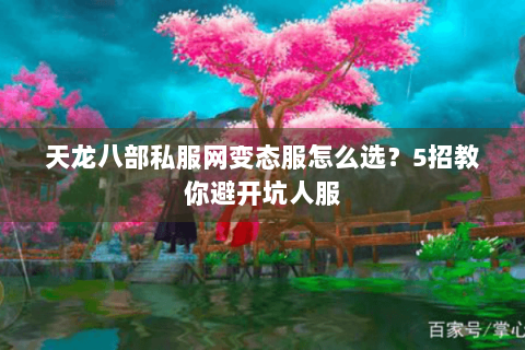 天龙八部私服网变态服怎么选？5招教你避开坑人服