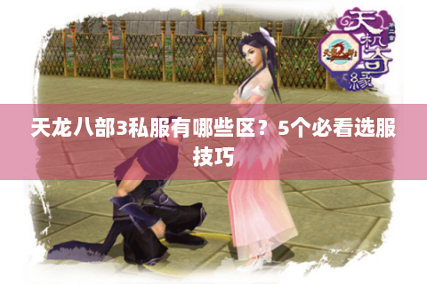 天龙八部3私服有哪些区？5个必看选服技巧