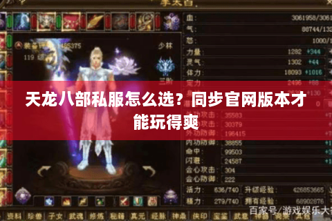天龙八部私服怎么选？同步官网版本才能玩得爽