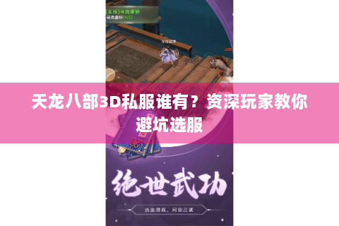 天龙八部3D私服谁有？资深玩家教你避坑选服