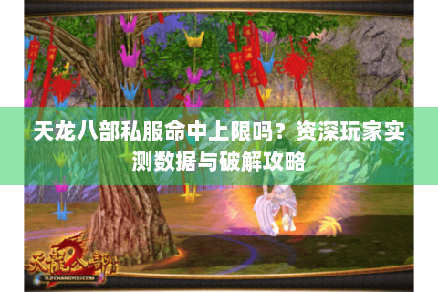天龙八部私服命中上限吗？资深玩家实测数据与破解攻略