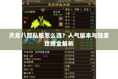 天龙八部私服怎么选？人气版本与独家攻略全解析