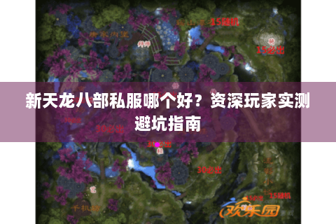 新天龙八部私服哪个好？资深玩家实测避坑指南