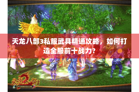 天龙八部3私服武具精通攻略，如何打造全服前十战力？