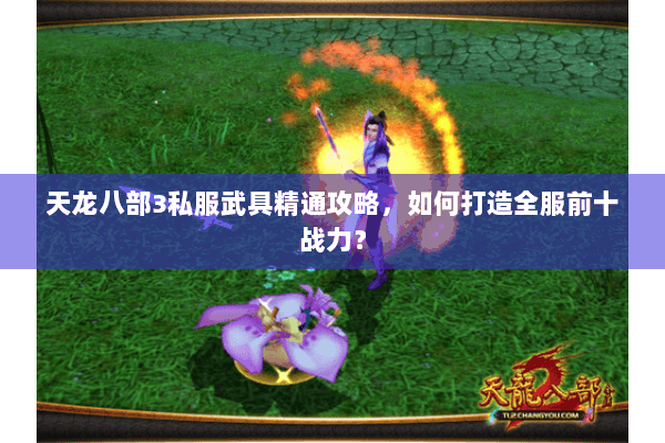 天龙八部3私服武具精通攻略，如何打造全服前十战力？