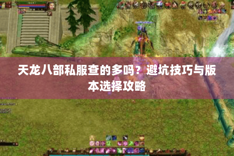 天龙八部私服查的多吗？避坑技巧与版本选择攻略