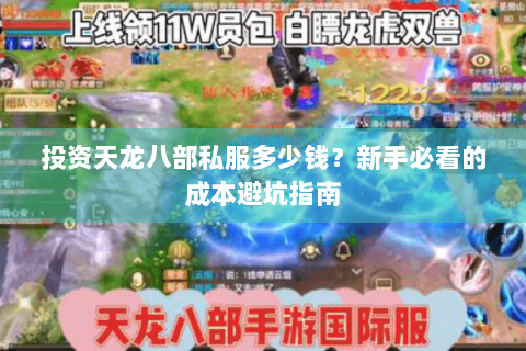 投资天龙八部私服多少钱？新手必看的成本避坑指南