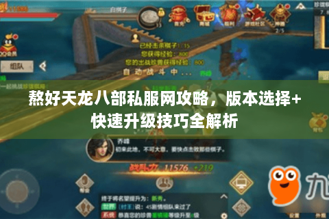 熬好天龙八部私服网攻略，版本选择+快速升级技巧全解析