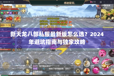 新天龙八部私服最新版怎么选？2024年避坑指南与独家攻略