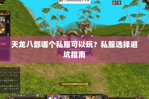 天龙八部哪个私服可以玩？私服选择避坑指南