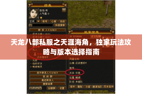 天龙八部私服之天涯海角，独家玩法攻略与版本选择指南