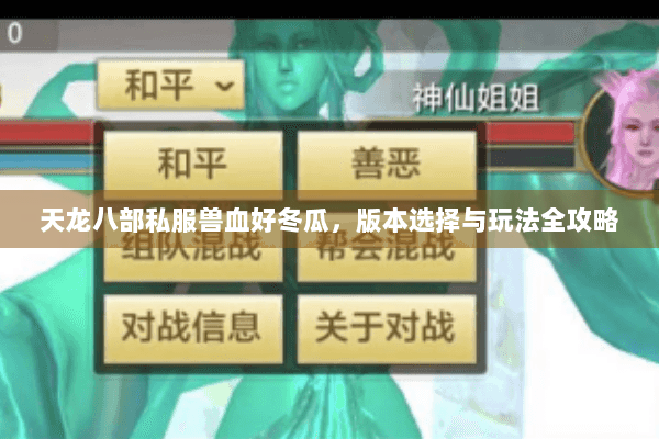 天龙八部私服兽血好冬瓜，版本选择与玩法全攻略