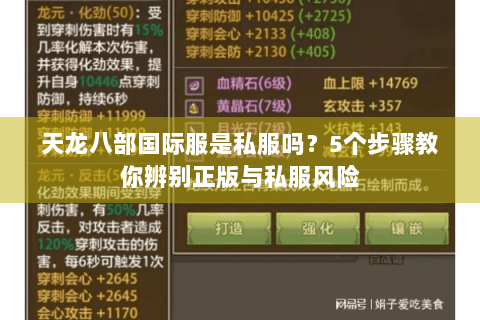 天龙八部国际服是私服吗？5个步骤教你辨别正版与私服风险