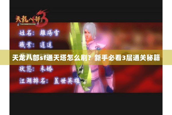 天龙八部sf通天塔怎么刷？新手必看3层通关秘籍
