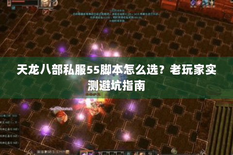 天龙八部私服55脚本怎么选？老玩家实测避坑指南