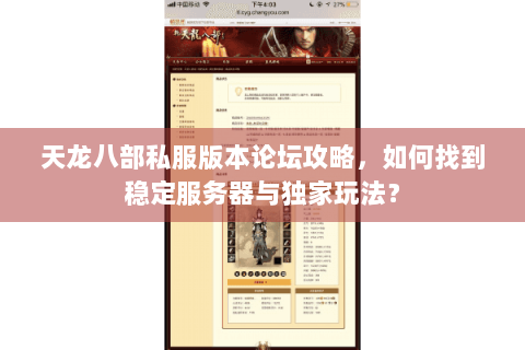 天龙八部私服版本论坛攻略，如何找到稳定服务器与独家玩法？