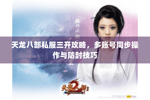 天龙八部私服三开攻略，多账号同步操作与防封技巧