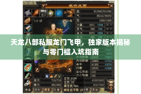 天龙八部私服龙门飞甲，独家版本揭秘与零门槛入坑指南