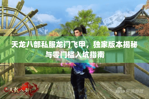 天龙八部私服龙门飞甲，独家版本揭秘与零门槛入坑指南