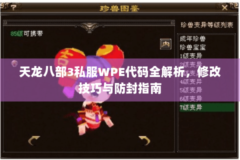 天龙八部3私服WPE代码全解析，修改技巧与防封指南
