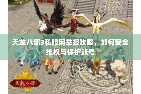 天龙八部3私服网举报攻略，如何安全维权与保护账号