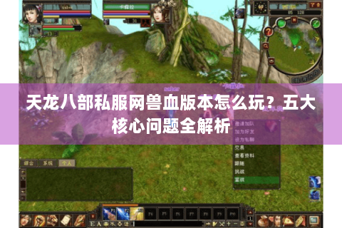 天龙八部私服网兽血版本怎么玩？五大核心问题全解析