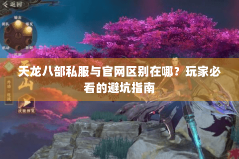 天龙八部私服与官网区别在哪？玩家必看的避坑指南