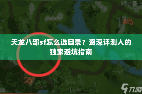 天龙八部sf怎么选目录？资深评测人的独家避坑指南