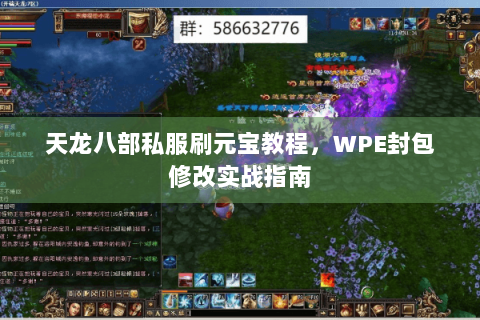 天龙八部私服刷元宝教程，WPE封包修改实战指南