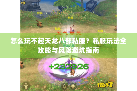 怎么玩不起天龙八部私服？私服玩法全攻略与风险避坑指南